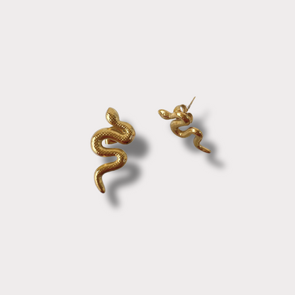 BOUCLES D'OREILLES SNAKE